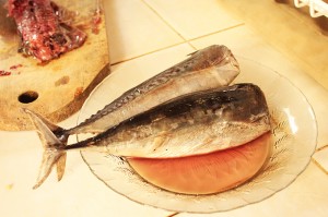 Ikan Tongkol