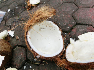virgin coconut 4